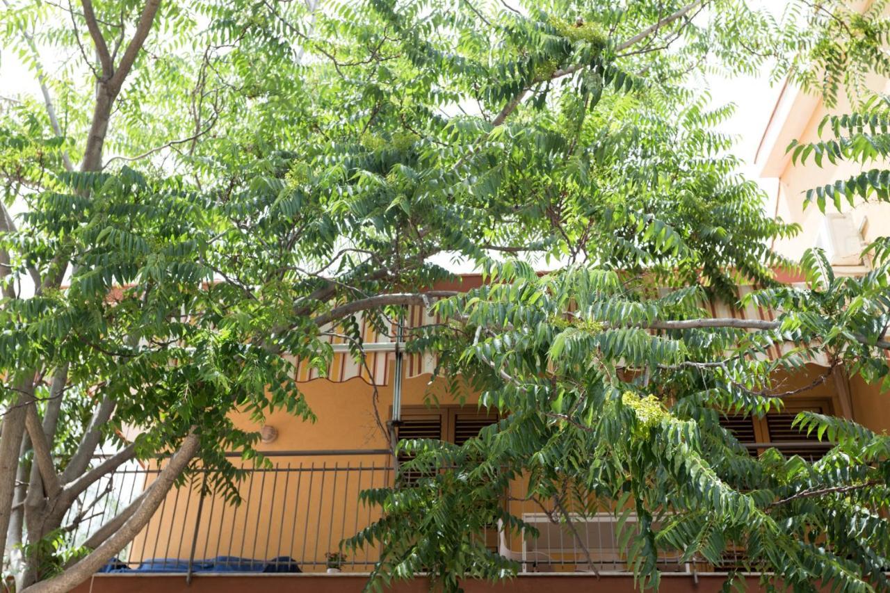 Casa Di Clara Apartment Acireale Ngoại thất bức ảnh